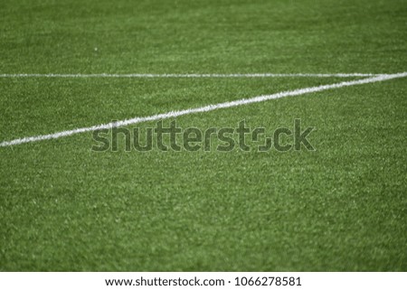 This is a picture of lawn and white line.
