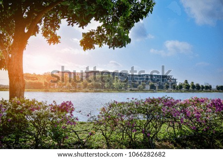 The building is close to the river flower park with a shady ambiance in the morning and blue sky,building park  sunlight lake