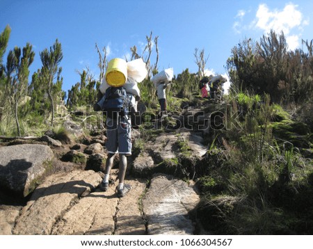 Tanzania, locals, Porters, carry the luggage for the tourists on the Kilimanjaro trekking tour