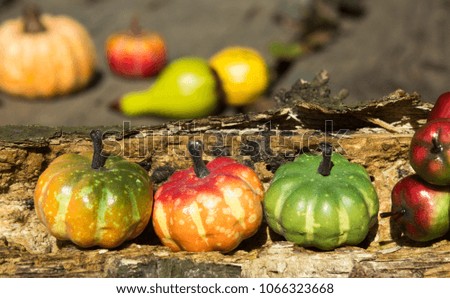 Decoration - green yellow orange red pumpkins and apples on old wood 