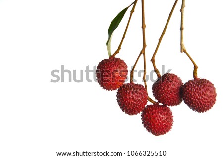 Fresh red color Lychee which bears small fleshy tropical fruit from Thailand isolated on white background and space for text.