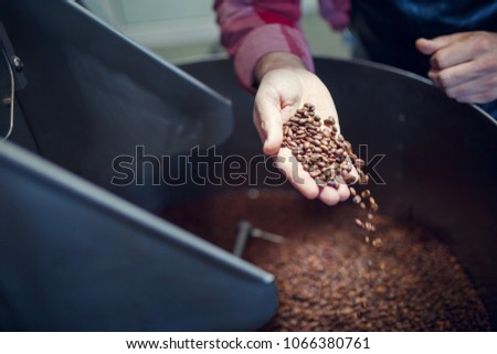 Photo of man's hand with coffee beans at industrial roaster