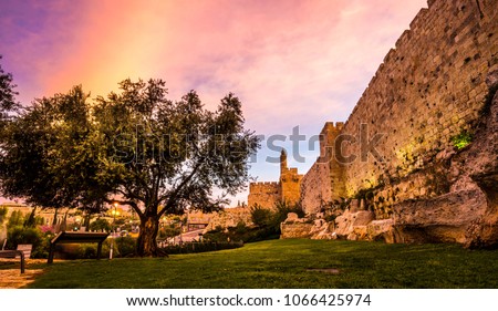 The minaret of the Tower of David (Jerusalem Citadel) museum, located next to Jaffa Gate and  Ottoman-built Old City Wall with remains from earlier periods, with beautiful color clouds and olive tree Royalty-Free Stock Photo #1066425974