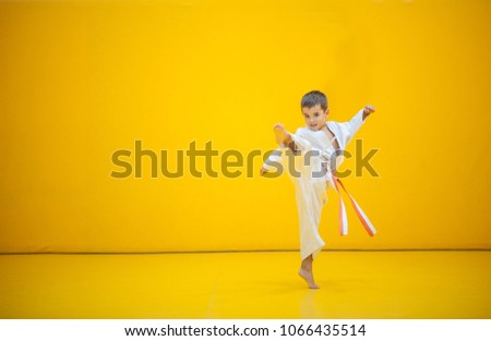A karate kid practicing a high kick.