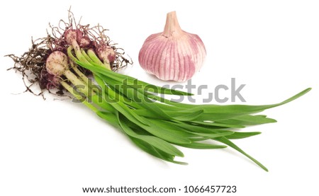 young green garlic isolated on white background.