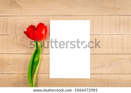 White sheet of paper and a red tulip lie on a wooden table