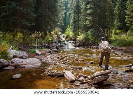 Fisherman fishing in Piney River, Colorado, USA Royalty-Free Stock Photo #1066533041