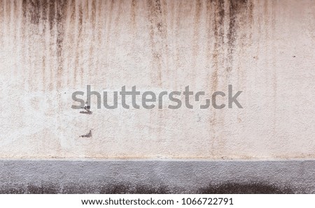 Old stone wall. Abstract blank background of light and gray plaster with age stains. Wallpaper textured uneven stucco.