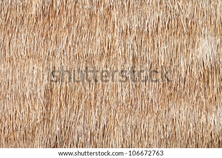 texture of hay bale background or dry grass background; textured hay bale background for countryside, rural area, agricultural concept Royalty-Free Stock Photo #106672763