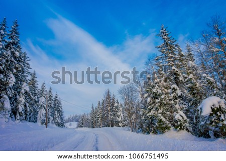 Outdoor view of winter road covered with heavy snow and ice in the forest