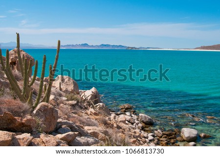 Cactus and mountains of Isla Espiritu Santo, La Paz Baja California Sur, Sea of Cortes. MEXICO