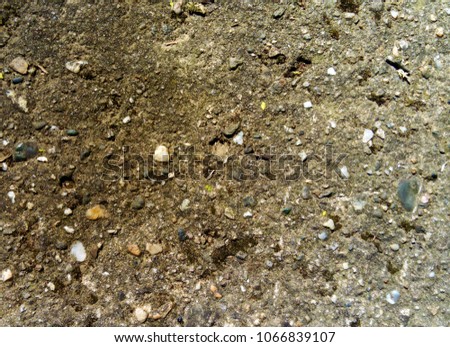 Stone and asphalt texture in natural environment