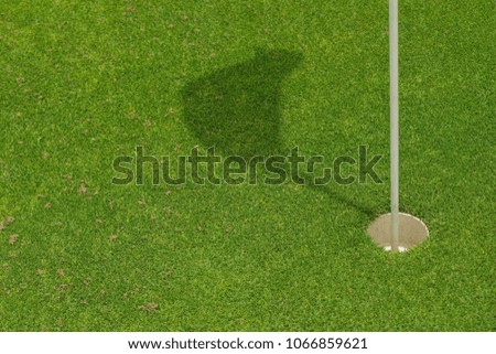 green golf course grass