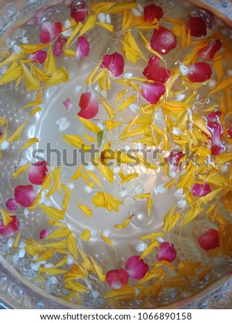 Red rose and yellow blossom petals float on the calm water surface, Ready for pour water on the hands of revered elders and ask for blessing, Thailand tradition