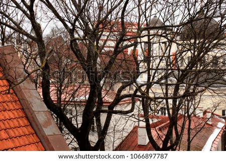 Panorama of old town of Tallin behind dark branches of spring tree, Estonia. Concept foe creative card, travel theme