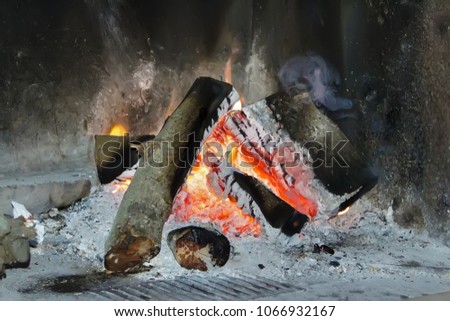 firewood in a burning fireplace closeup