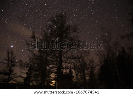 Winter night and the stars in the sky