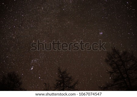 Winter night and the stars in the sky
