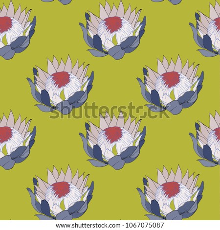 Vector pattern set of proteas. Can be used for some print or background, textile, postcards.