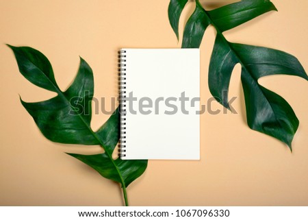 Flat lay empty book for design work two leaf on yellow pastel color background.