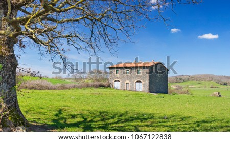 old house and old tree in spring day in Tuscany in Italy
