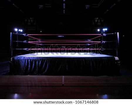 Wrestling ring light