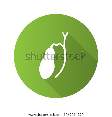 Gallbladder and ducts flat design long shadow glyph icon. Vector silhouette illustration