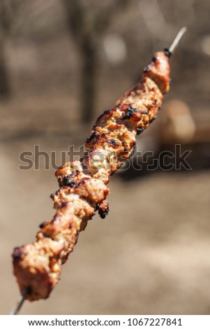 kebab on skewers - fried in open fire (barbecue, bbq)

