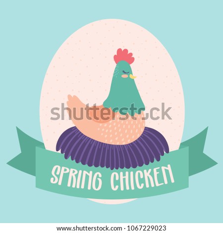 Vector Spring Chicken Illustration Clip Art Graphic