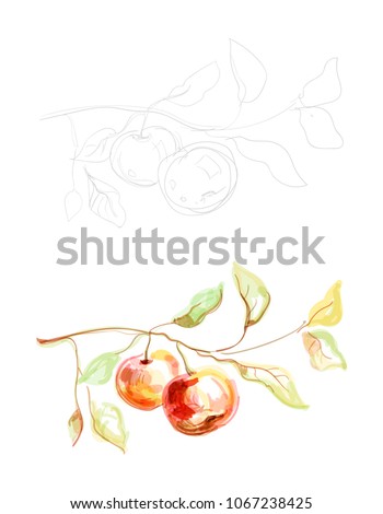 Illustration of apple tree branches
Picturesque drawing of masks and lines of apple branches
Vector artistic drawing of fruits