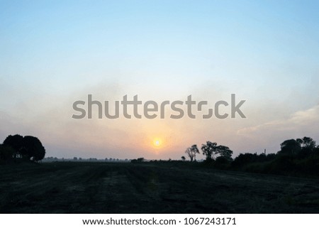 Silhouette of view at sunset.