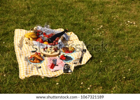 Picnic at the park on the grass:  basket, healthy food and accessories, top view