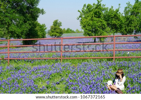 Woman sitting in a field of Blooming Texas Bluebonnet Wildflowers during spring time
