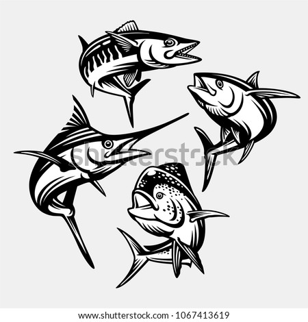 MAHI-MAHI Stock Vector Images - Avopix.com