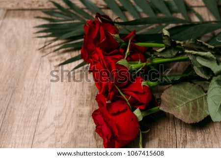 The studio photo of a red rose on a wooden background, green leaves