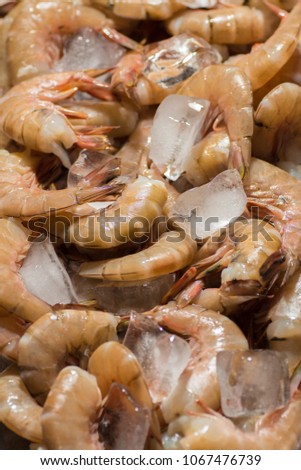 Texture background fresh Shrimp in a shell with ice