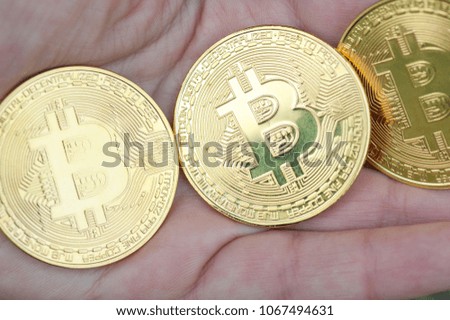  female hands hold the one coin on the dark background. 