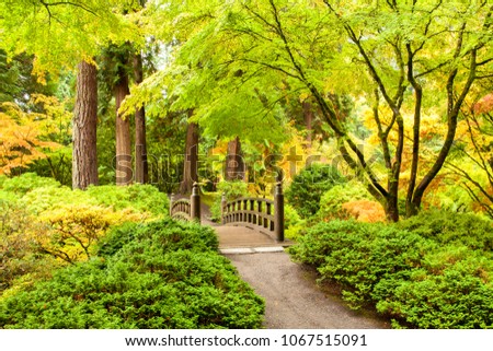 A bridge over a pond in a  japanese garden in northwest Oregon with trees showing their fall colors.