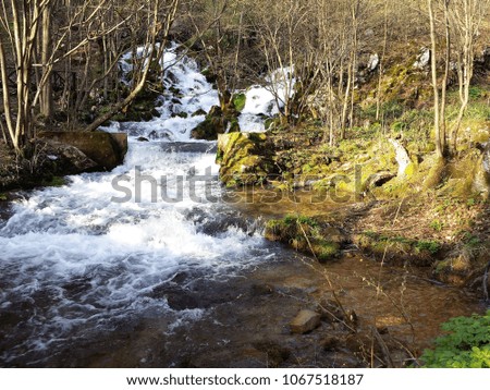 Gorgeous nature, river with a waterfall on a sunny day
