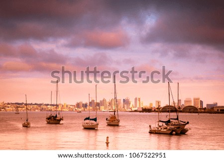 Beautiful San Diego California bay and boats with skyline in the background at sunset 