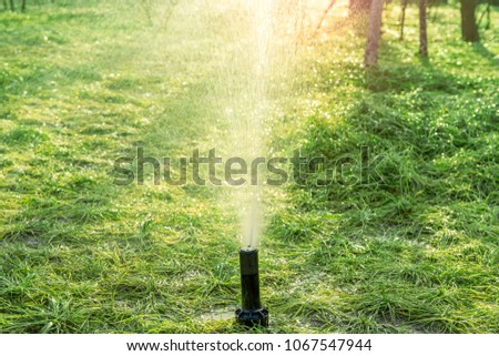 Water spray pipe in the park