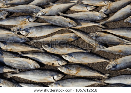 Fresh dry fish