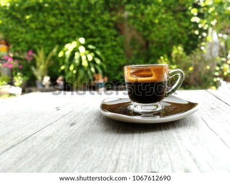 Hot Cappuccino coffee in glass cup on wooden table over green leaf wall as background in the morning time