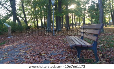 A relaxing bench in the forest in Rothenburg ODT, Germany