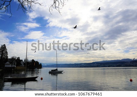 Boats at lake Zürich in Switzerland