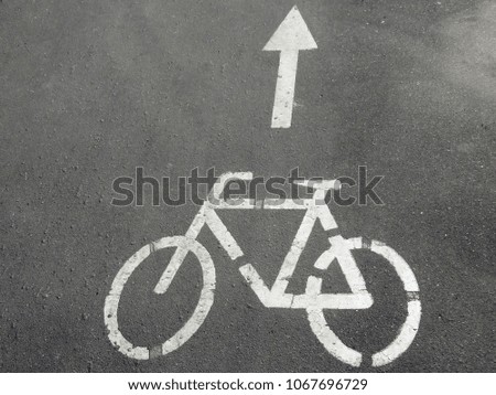 Bicycle road sign and arrow on asphalt. White bicycle symbol on the street and direction of movement