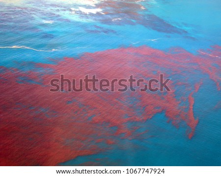 Red tide at Hermanus Royalty-Free Stock Photo #1067747924