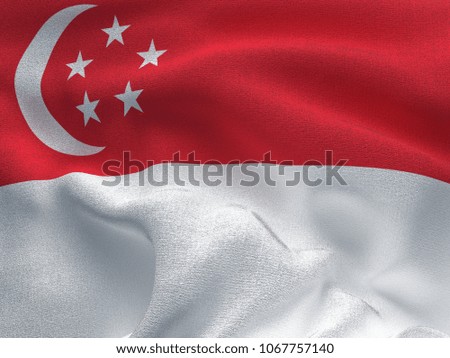 Texture of a fabric with the image of the flag of Singapore, waving in the wind.