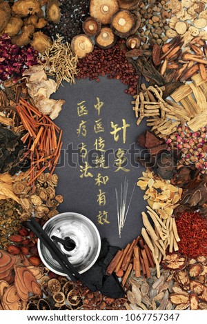 Chinese alternative medicine with herb  and acupuncture needles, moxa sticks  and calligraphy script.  Translation reads as acupuncture chinese traditional and effective treatment solution method.  