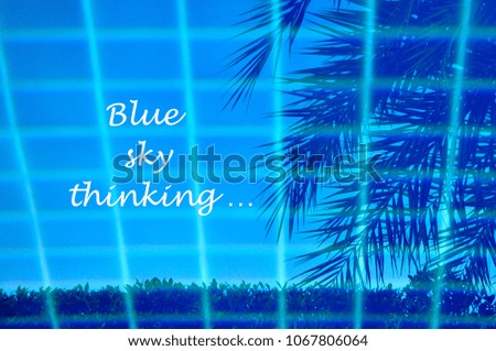 Blue sky thinking phrase written on a background of a calm blue swimming pool with a grid of square tiles and the reflection of palm tree shadows.